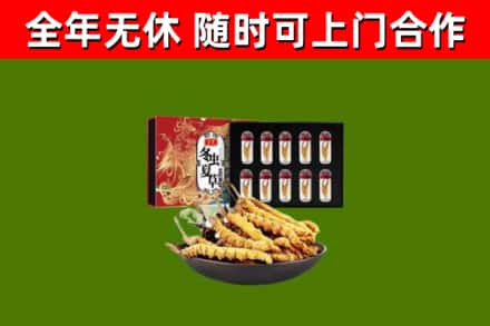 龙岩回收冬虫夏草价格
